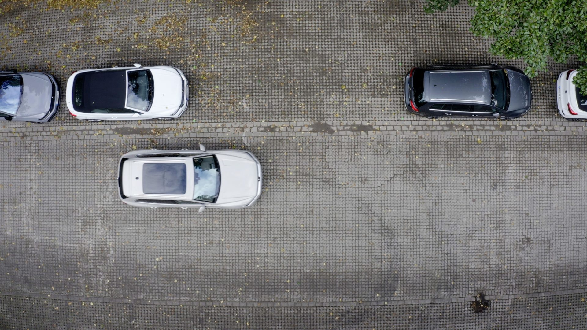Parking Sensors - Car Terms